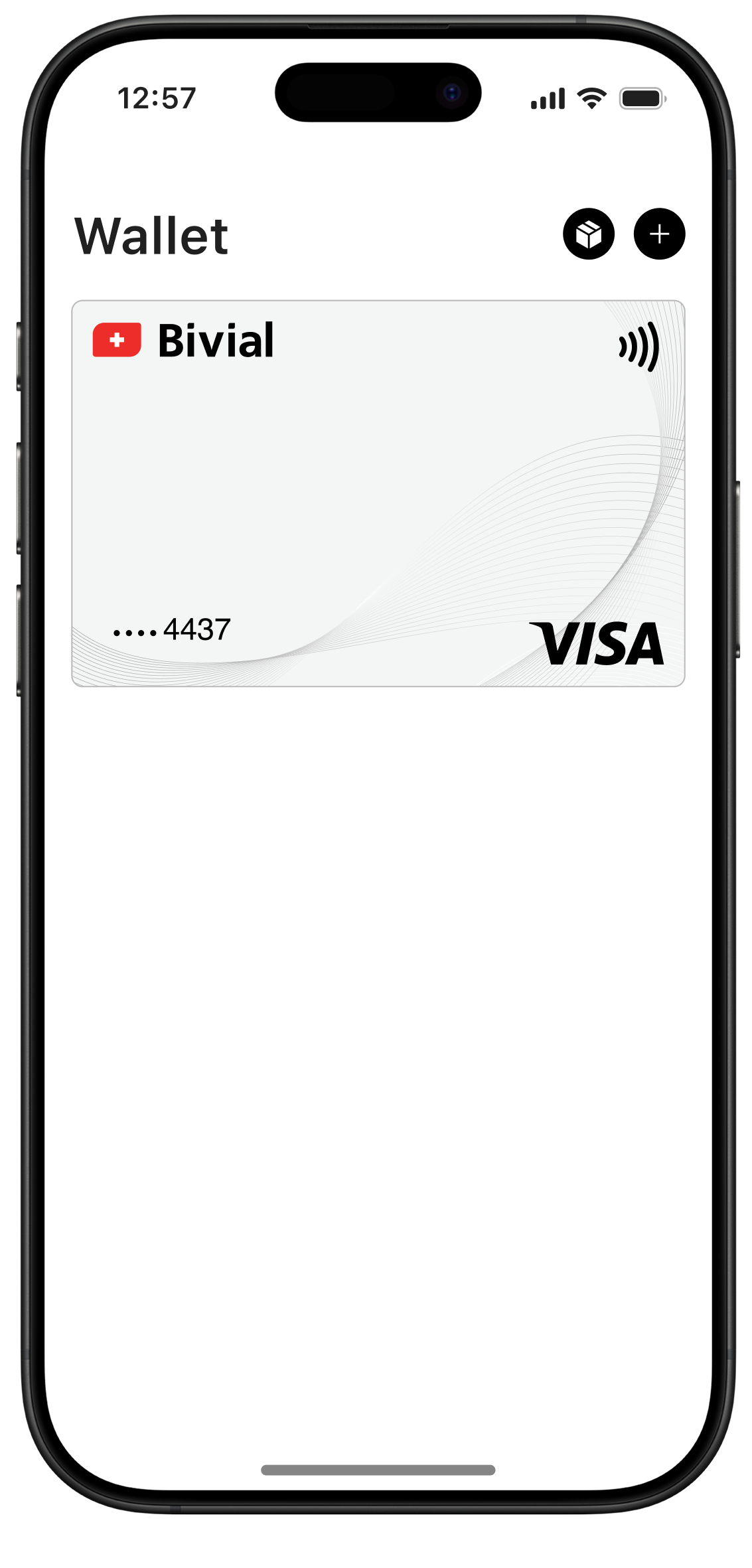 Apple Pay Phone